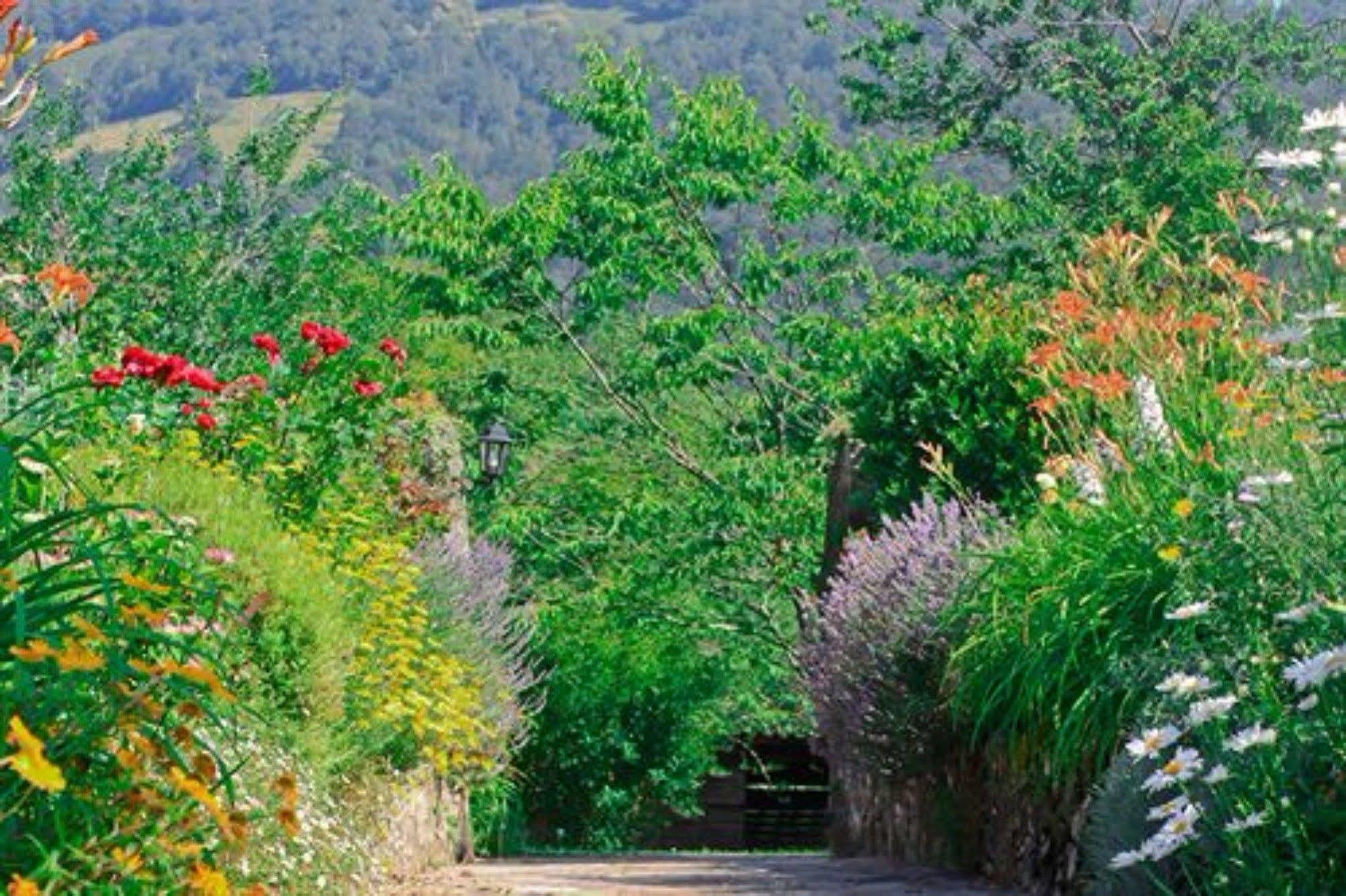 Maison Chilo Barcus Exterior photo